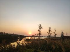 -芒洲湿地公园