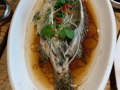 -新梅华(太仓万达店)