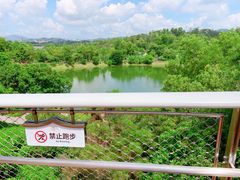 -张钰强中医正骨推拿连锁(唐家人才公寓店)