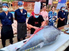 -三亚海昌梦幻海洋不夜城