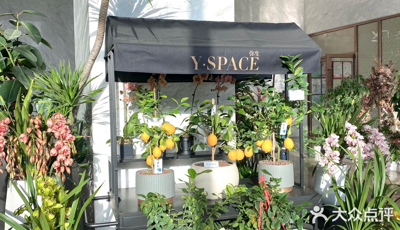 宁波超美超韩系ins风玻璃房花店