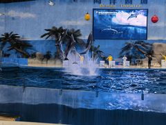 -泉城欧乐堡海洋极地世界