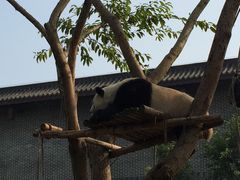 -仙芝竹尖生态园旅游景区