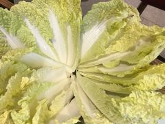 -金五福老管家火锅铺子(博兴店)