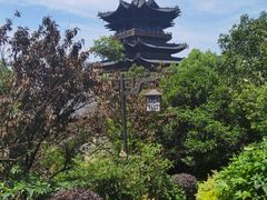 -杭州半山国家森林公园