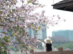 -广东花都湖国家湿地公园