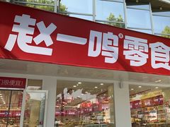 -赵一鸣零食(南京上元大街店)