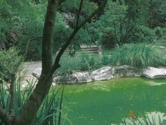 -上海吴淞炮台湾国家湿地公园