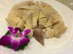 招牌香葵鸡-心点盛宴江南西店