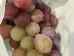 -马陆小张葡萄园农家乐