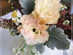 -蝶舍·MAISON PAPILLON