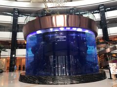 -OPEN開全日自助餐厅·牛肉火锅·海鲜(佛山希尔顿酒店)