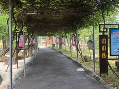 -牛鱼嘴原始生态风景区