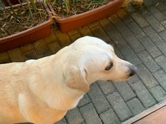 -朕悦鹧鸪饭私房菜