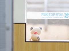 -瑞派长江宠物医院·猫科·外科·24小时夜护(谊城公寓分院)