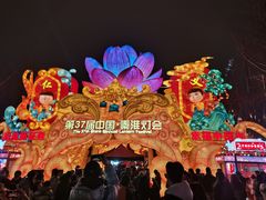 -bluefrog蓝蛙(水游城店)