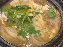 麻辣鲶鱼煲-川香煲(茅台路店)