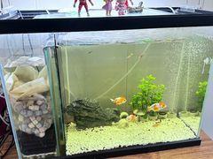 -会麦二手奢侈品包包手表回收寄卖(八佰伴店)