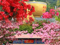 -东莞观音山旅游风景区