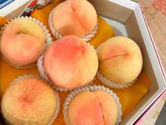 -南汇水蜜桃采摘(大团店)