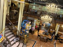 -more than meow吴止猫主题餐厅(承德 中船汇店)