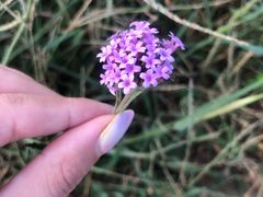 -东戴河风景区-止锚湾