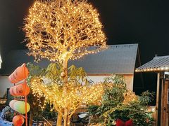-后湖小院·乡野田园菜