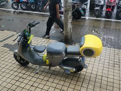 -绿源电动车(普陀专卖店)