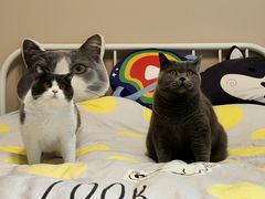 -西西弗书店(城西银泰城店)