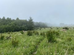 -野三坡百草畔景区