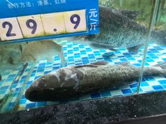-家乐福(古北店)