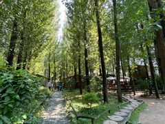 -林间山庄