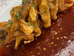 老济南糖醋鲤鱼-金春禧(万象天成店)