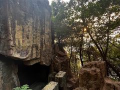 -铁山坪森林公园