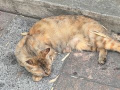 -红螺寺
