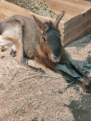 -Zoolung Zoolung动物主题公园(海信广场店)