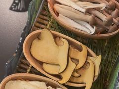 -季季山•云南野生菌火锅(上海首店)