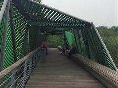 -西湖风景区-江洋畈生态公园