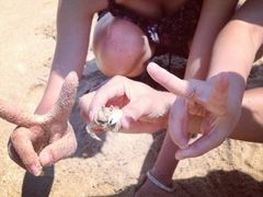 -西涌国际滨海旅游区