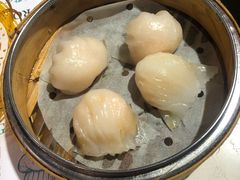 虾饺-点点心点心专门店(湾仔店)