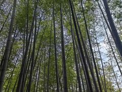 -陶祖圣境风景区