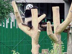 -沈阳森林动物园