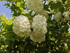 -上海交通大学(闵行校区)