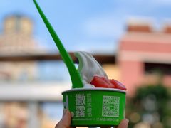 -Salud撒露欧洲冻酸奶(蓝色港湾店)