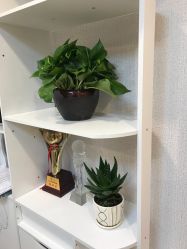-阅年轻·AI家庭健康体质调理