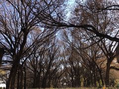 -赛汗塔拉风情园