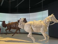 -扎耶德国家博物馆