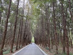 -同里国家湿地公园