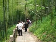 -藏龙百瀑风景区