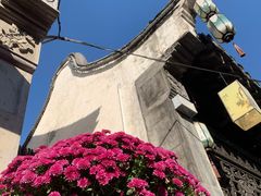 -惠山古镇·寄畅园